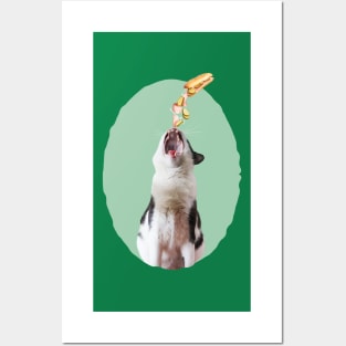 My Fav Food Is Ham Sandwich Posters and Art